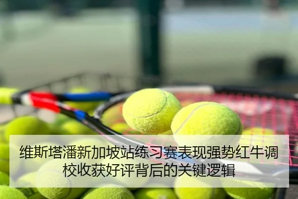 维斯塔潘新加坡站练习赛表现强势红牛调校收获好评背后的关键逻辑